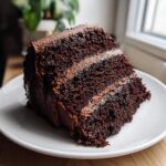 A rich, moist slice of layered chocolate cake with chocolate frosting on a white plate.